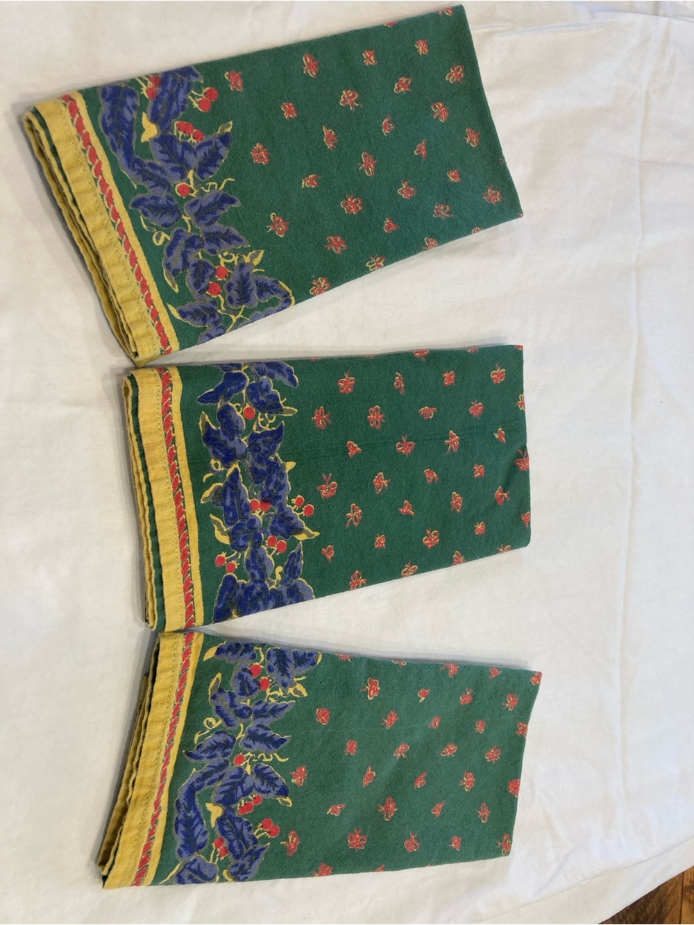 INDIAN COTTON Green Floral Border Napkins - Set of 3